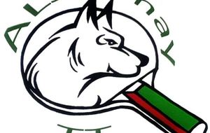 ALJ Limay Tennis de Table Championnat de France par Equipes 1ère journée