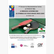 1er championnat départemental des Yvelines de tennis de table (compte rendu)