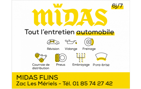 MIDAS FLINS